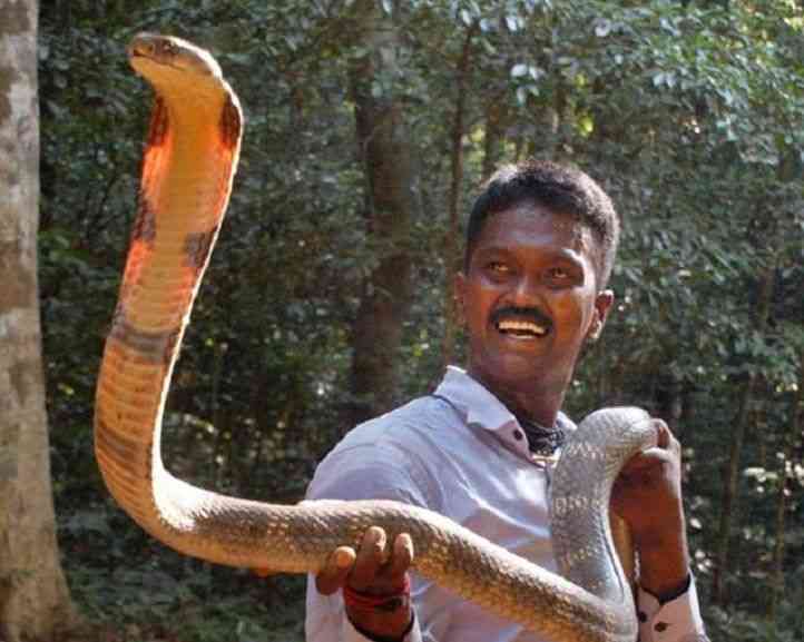 Rescuer or tormentor? Social media furiously debates snake catcher Vava  Suresh