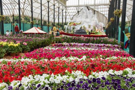 Ooty is ready for the 2021 Flower  Exhibition